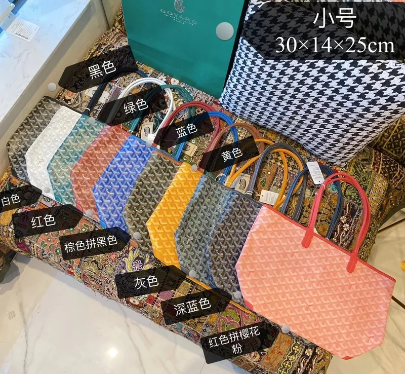 Goyard Small Leather Bag