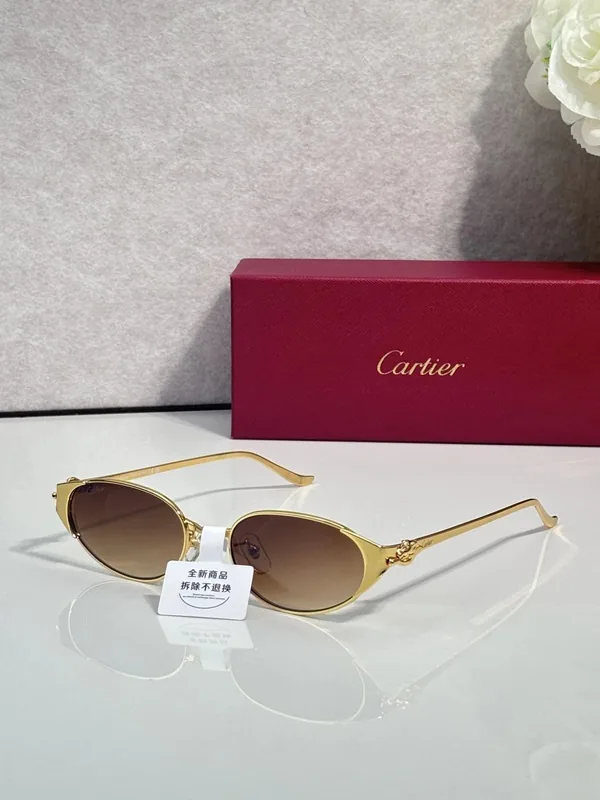 Cartier CT0630S Sunglasses 54-19-145 Ver.B
