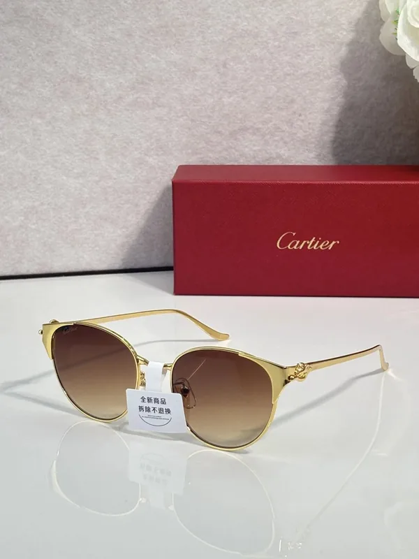 Cartier CT0631S Sunglasses 54-19-145 Ver.B