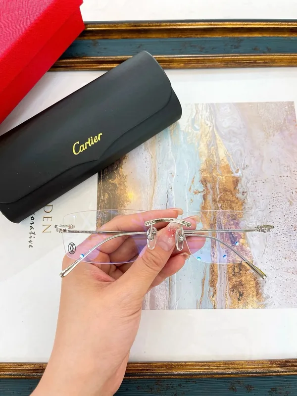 CT0070O Optical Frame