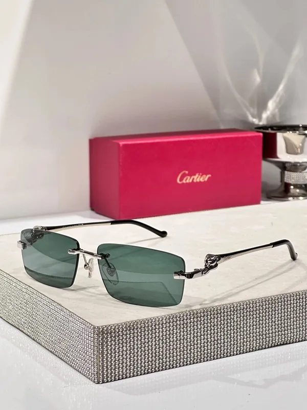 CT0430S Sunglasses