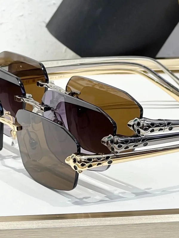 CT0474S Optical Frame