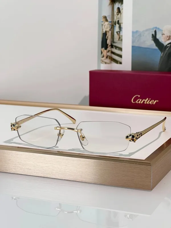 CT0474S Optical Frame