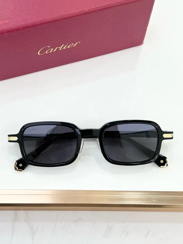CT0539 Optical Frame