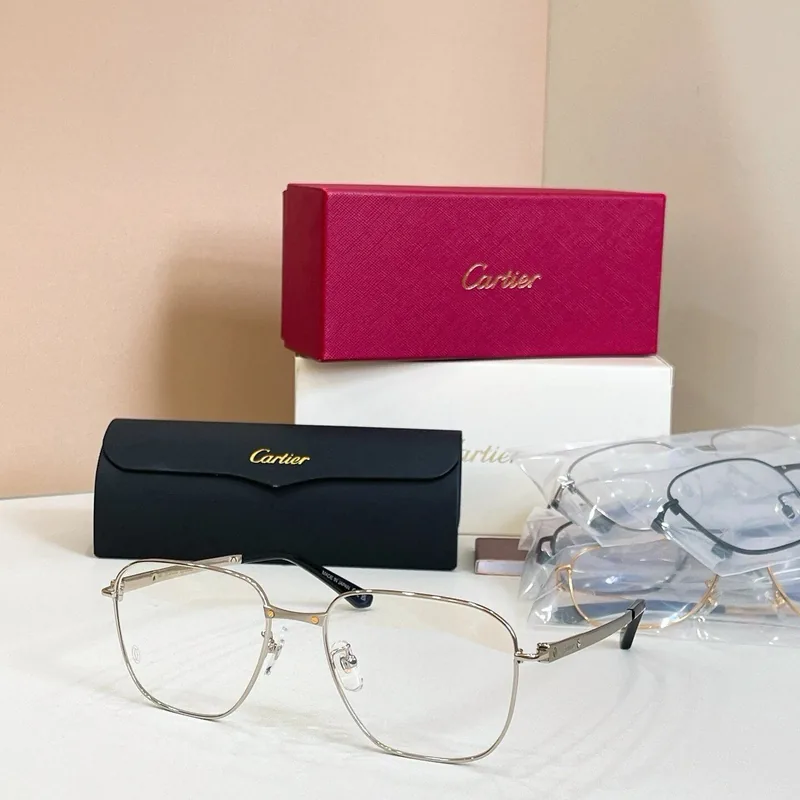 CT0553O Optical Frame