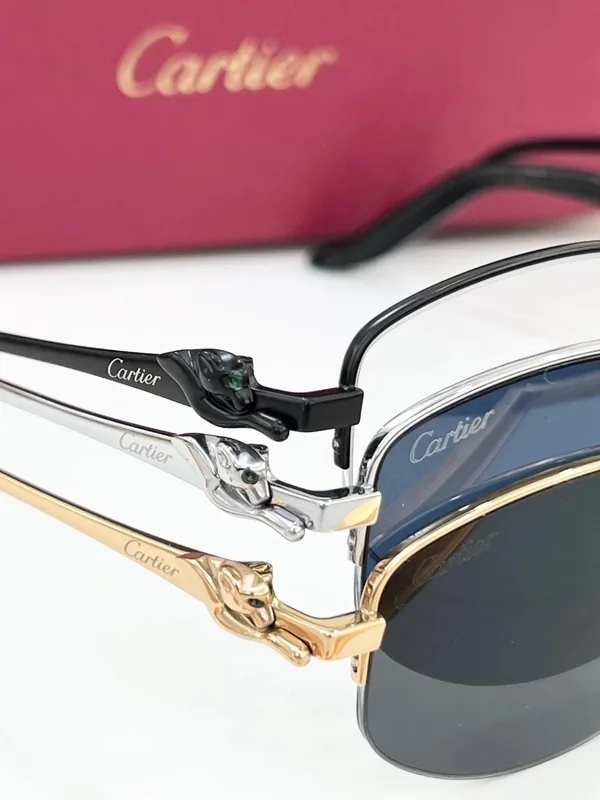CT0602OA Optical Frame