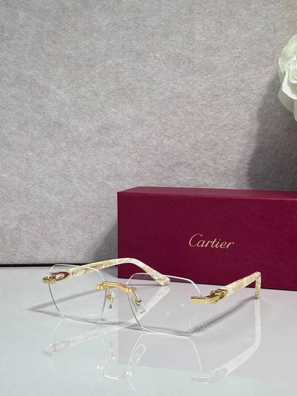CT0623O Optical Frame