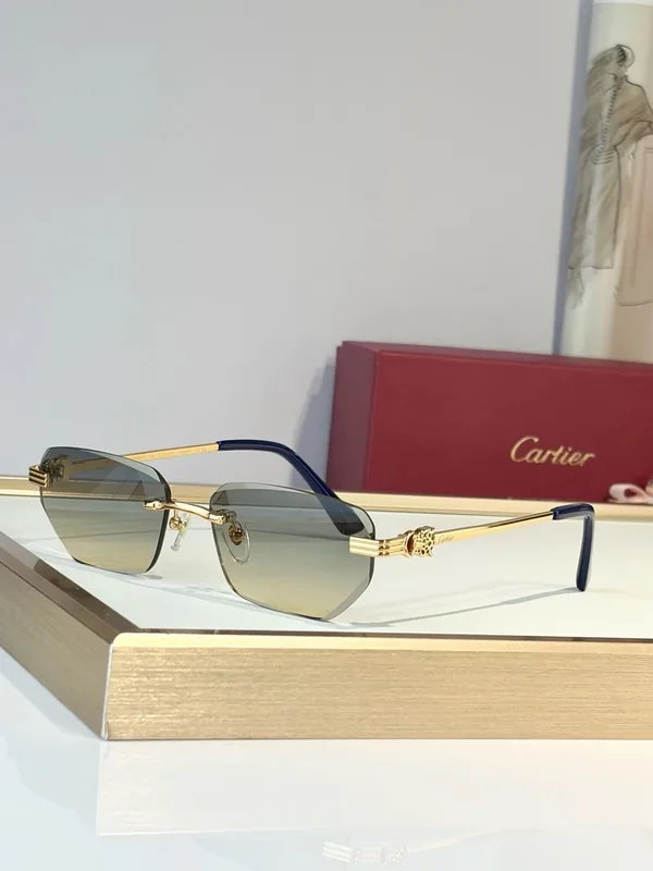 CT0651S Sunglasses