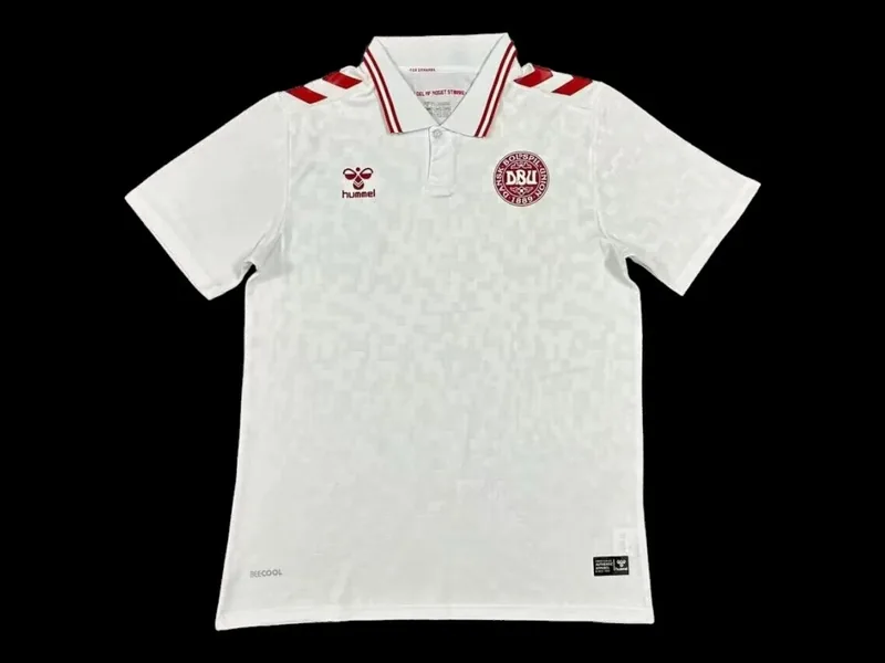 Denmark 2024 Away Jersey