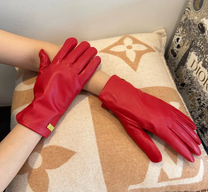 Dior Lambskin Cashmere Gloves Ver.B