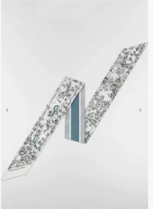 Dior Silk Ribbon Ver.D