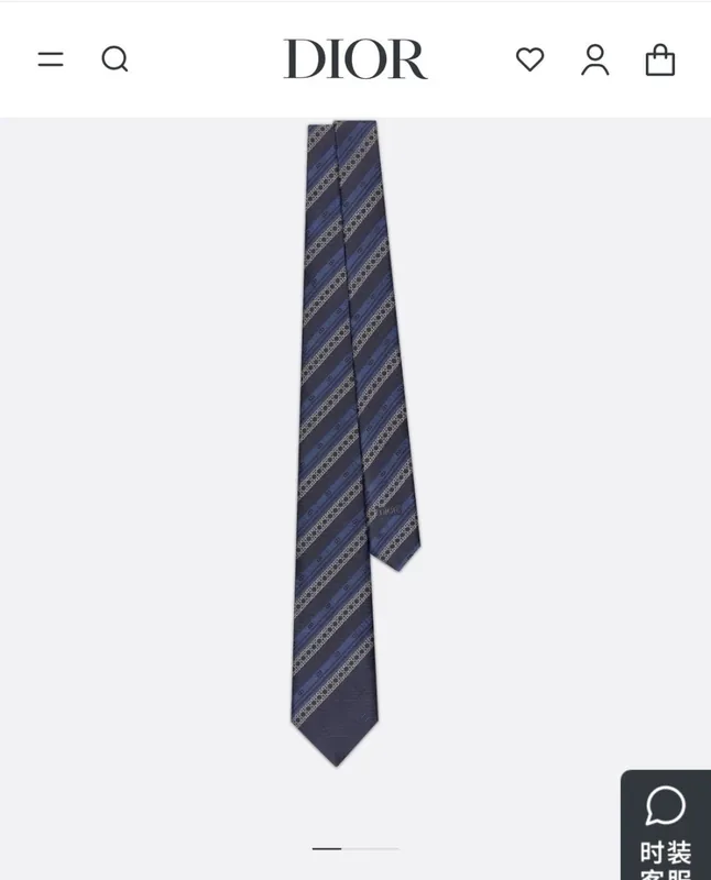 Dior Silk Tie Ver.D
