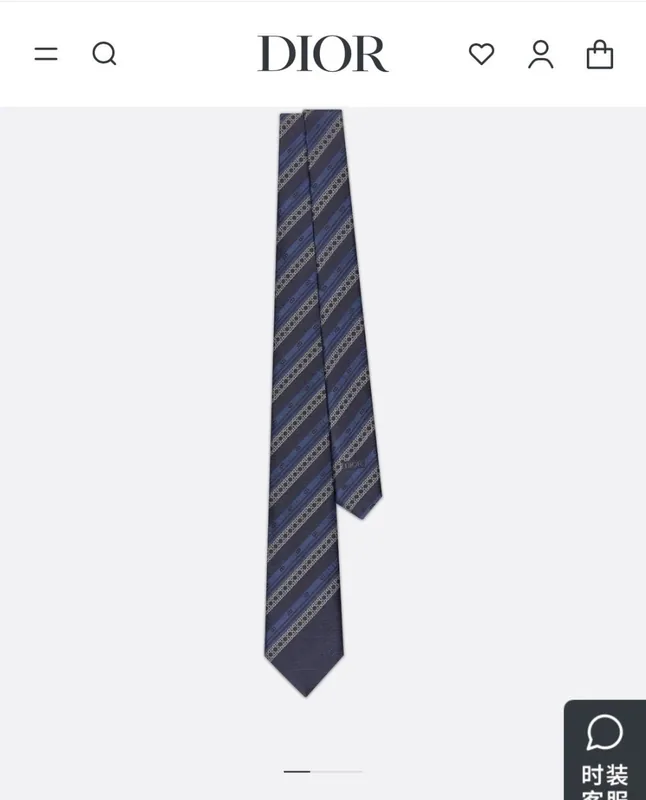 Dior Silk Tie Ver.E
