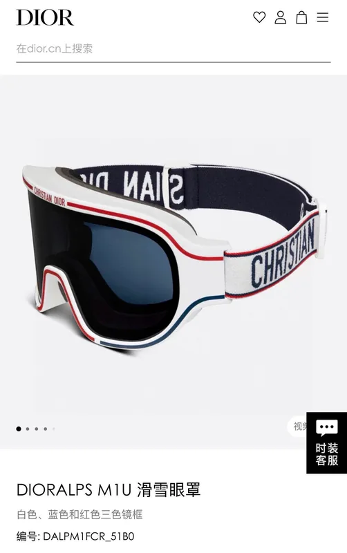Dior Ski Goggles Ver.A