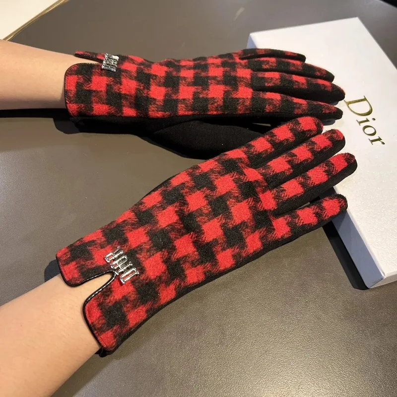 Dior Thermal Gloves Ver.A