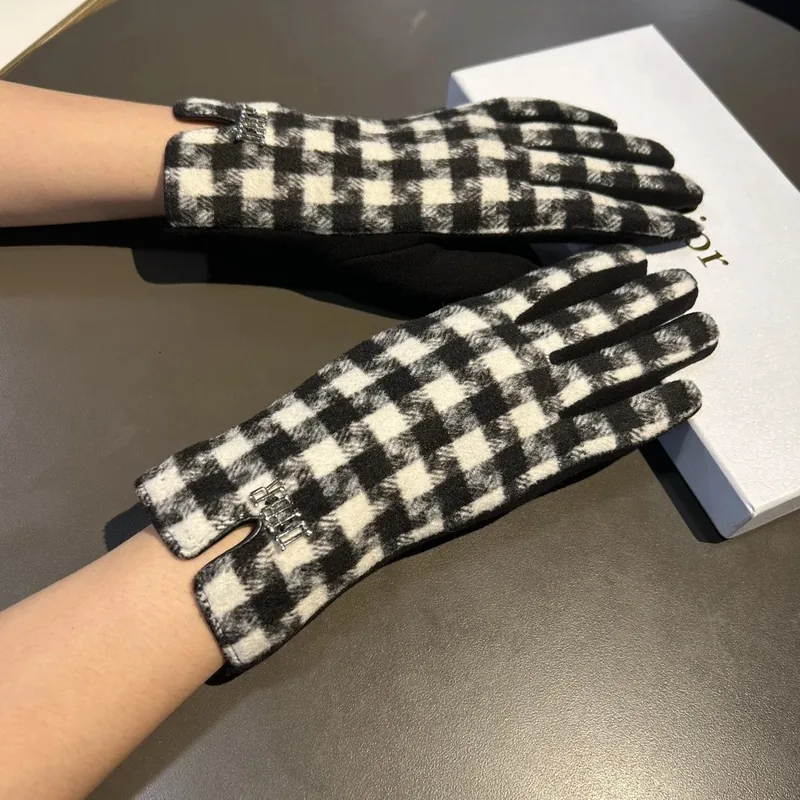Dior Thermal Gloves Ver.B