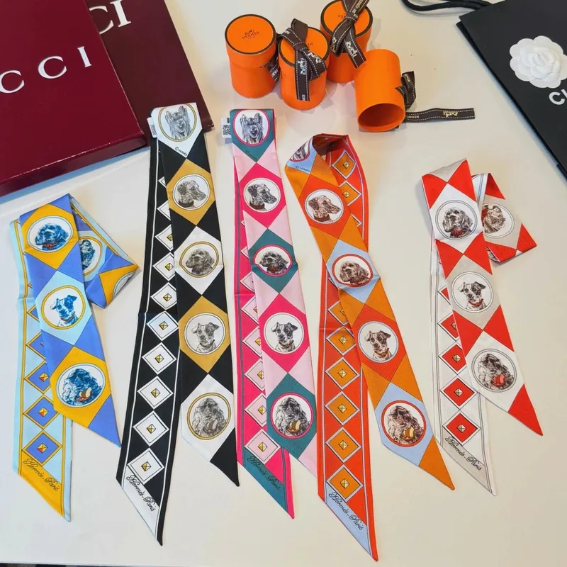 Hermes Silk Hair Ribbon Ver.E