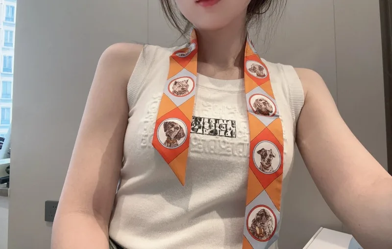 Hermes Silk Hair Ribbon Ver.G