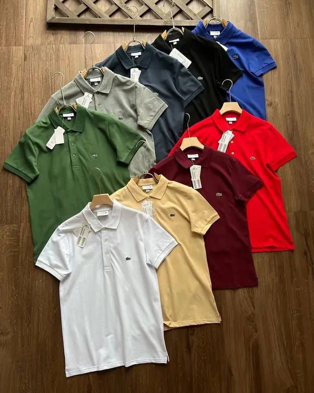 Lacoste Multicolor Knit Ver.C