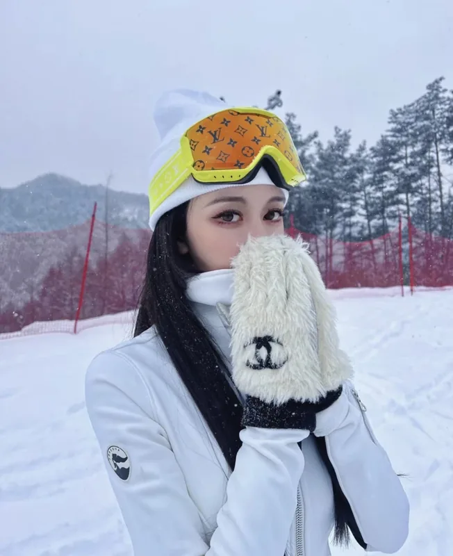 Louis Vuitton Ski Goggles Ver.F