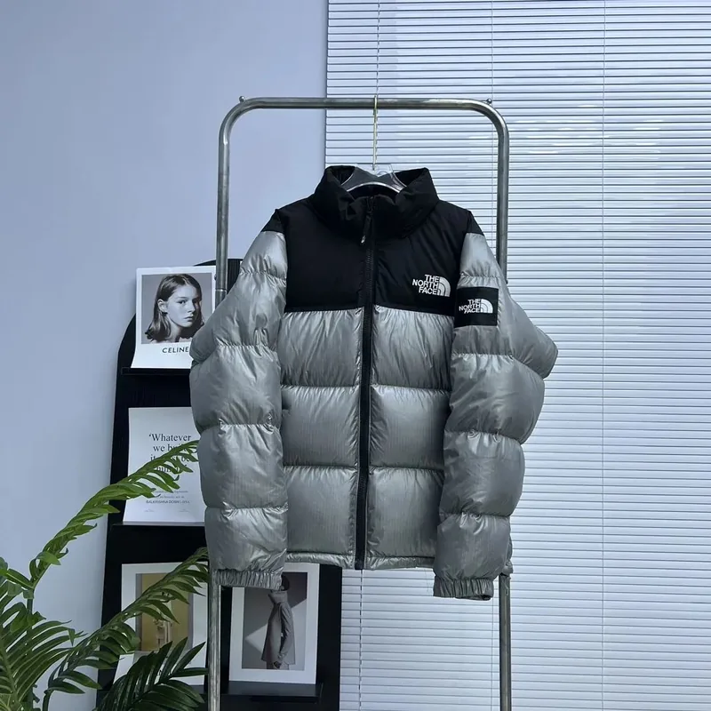 North Face Down Jacket Ver.B