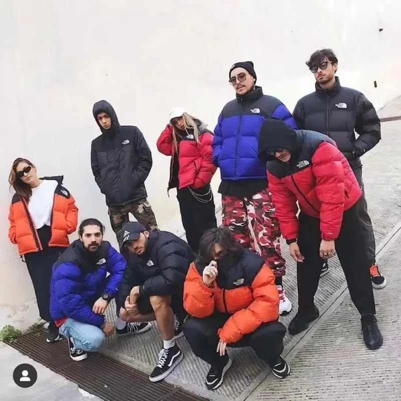 North Face Down Jacket Ver.C