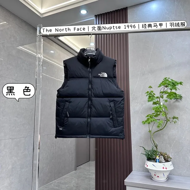North Face Down Jacket Ver.N