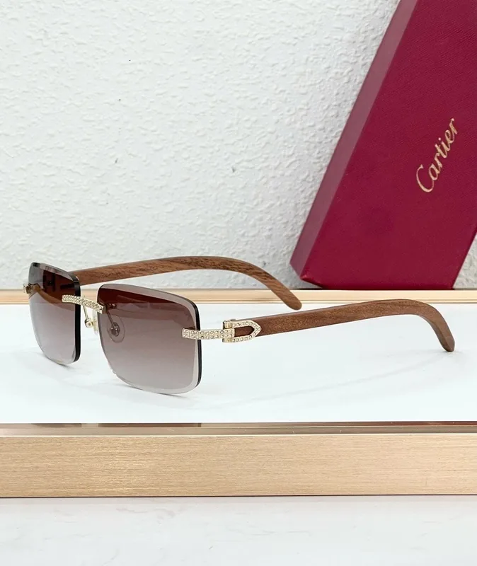 Optical Frame