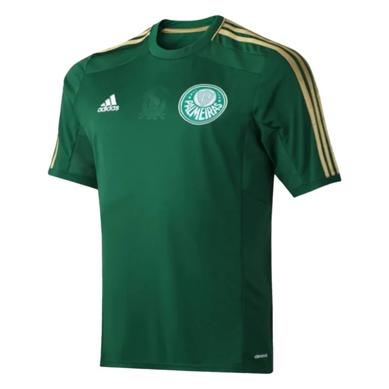 Palmeiras 14/15 Retro Jersey