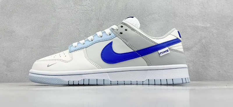 Nike Dunk Low Sneakers