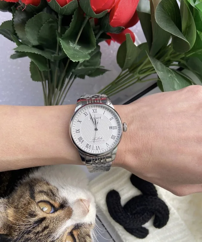 Tissot Le Locle Automatic Watch Ver.D