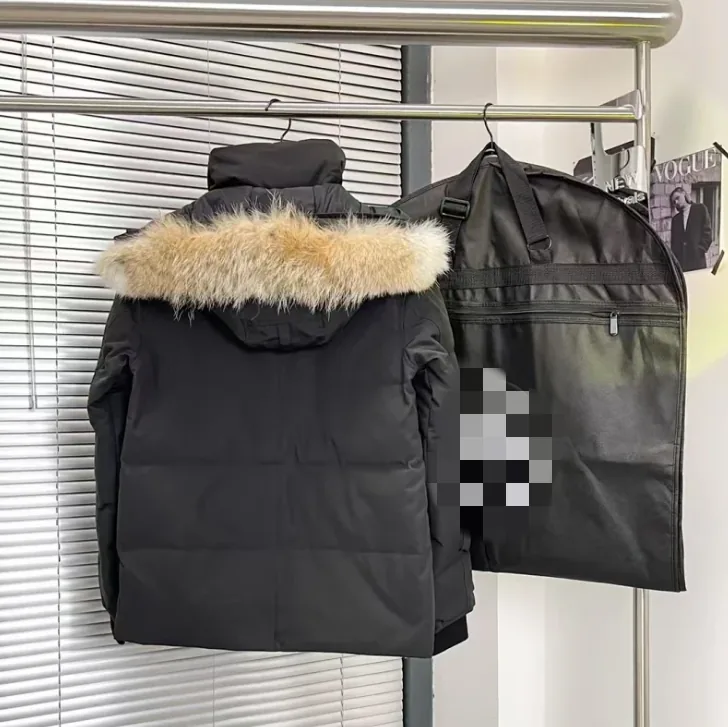 Fleece-Lined Tee — Photo 5