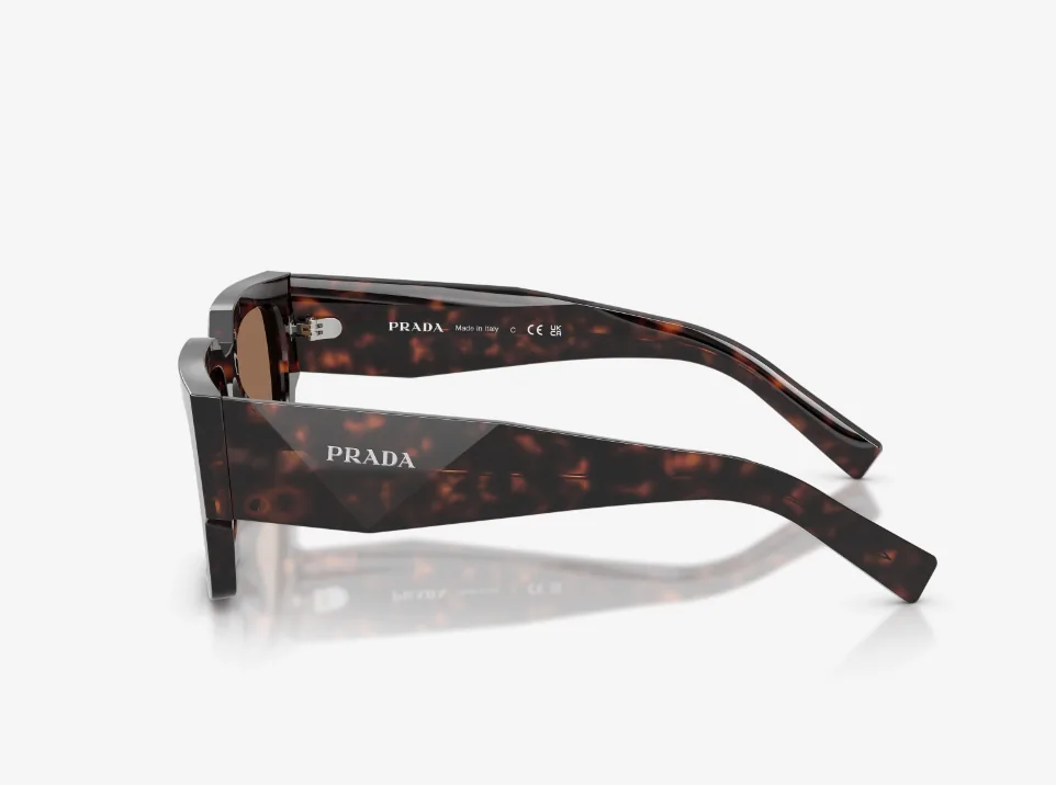 B17S Acetate Sunglasses