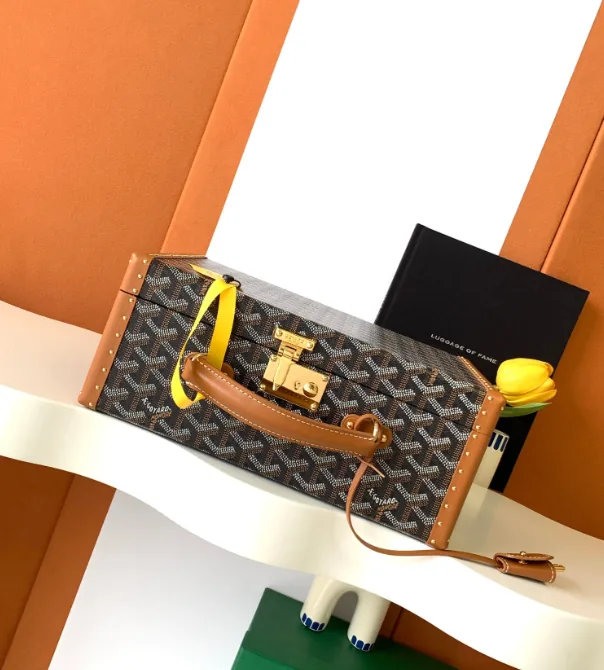 Goyard Watch Case Trunk Bag — Photo 14