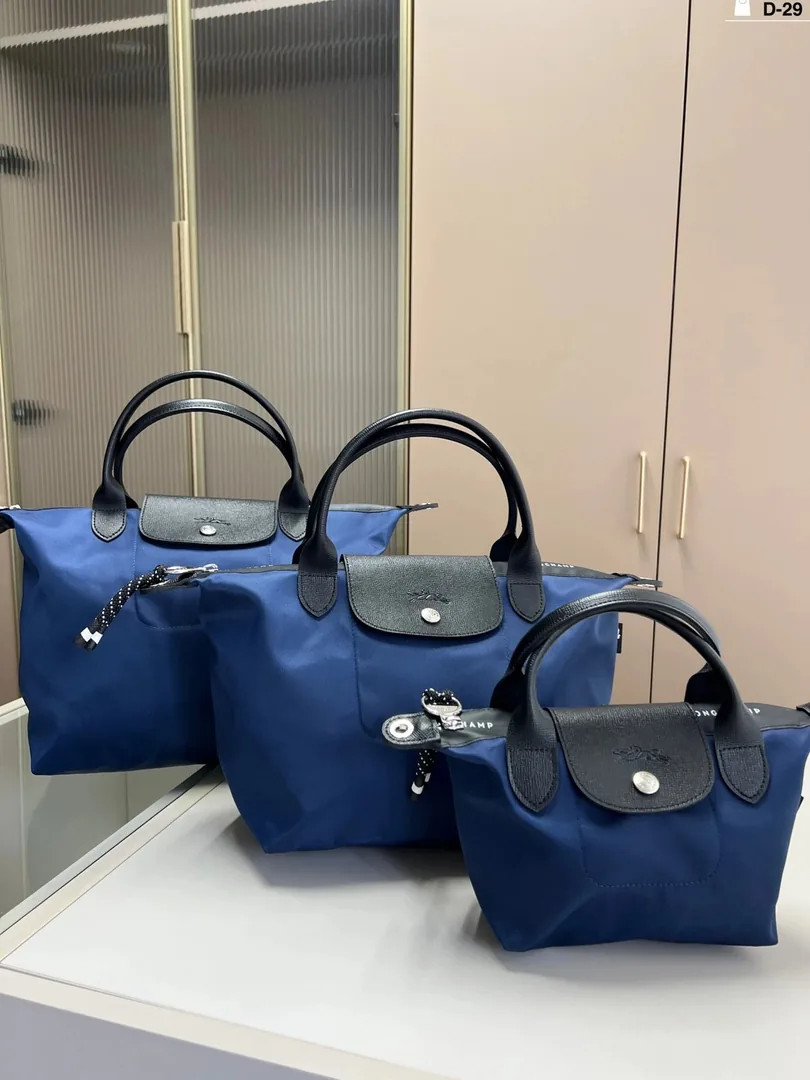 Longchamp Dumpling Bag — photo 3
