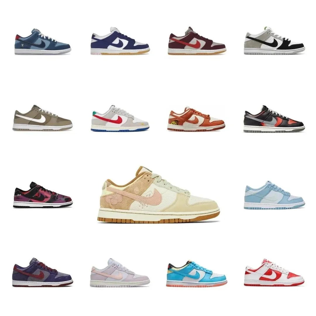 Nike Dunk Skate Shoes