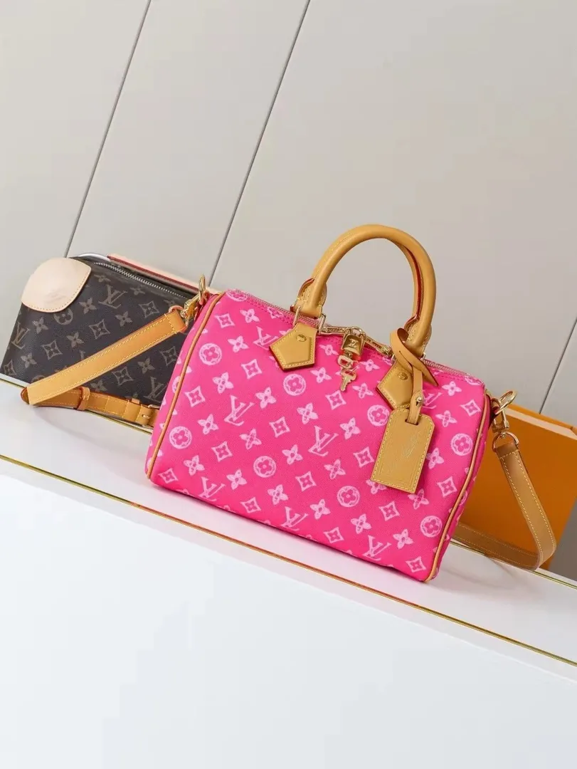 Louis Vuitton Speedy Leather Bag