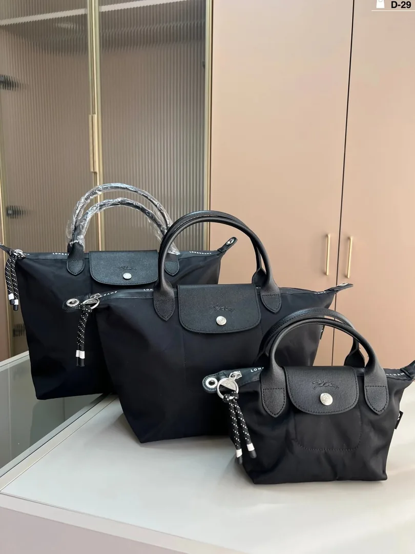 Longchamp Dumpling Bag — photo 2