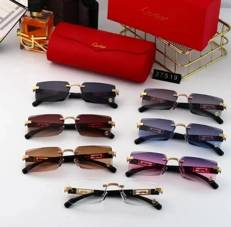 Cartier Rimless Panthere Sunglasses Collection — photo 3