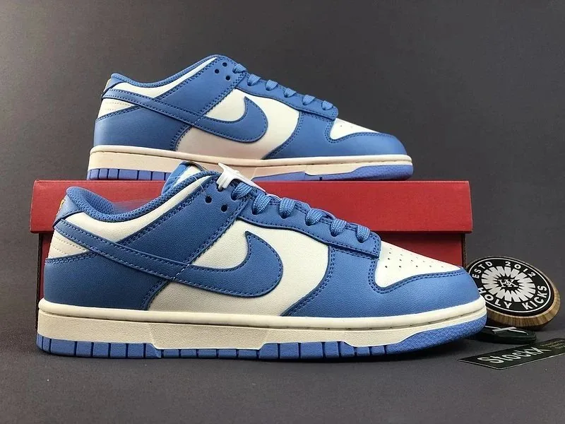 Nike SB Dunk Low Lace-Up Runners — QC