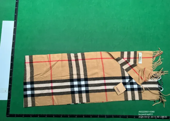 Burberry Plaid Scarf — QC