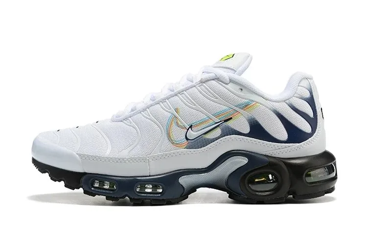 Multicolor Nike Air Max Plus TN — QC