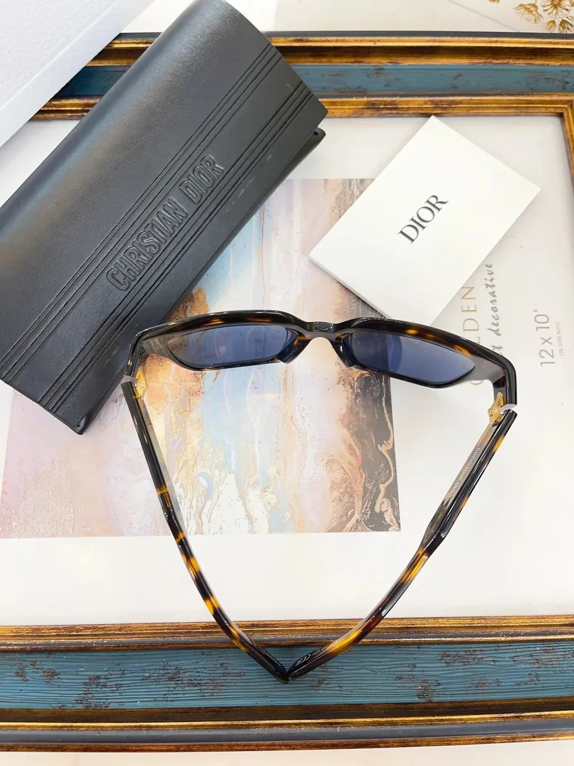 Dior S10FS Sunglasses — QC