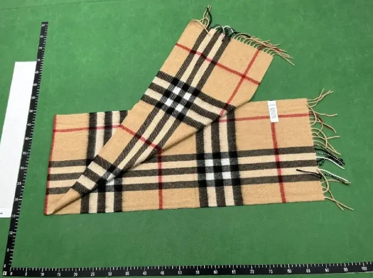 Burberry Plaid Scarf — QC