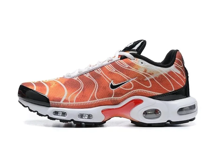 Multicolor Nike Air Max Plus TN — QC
