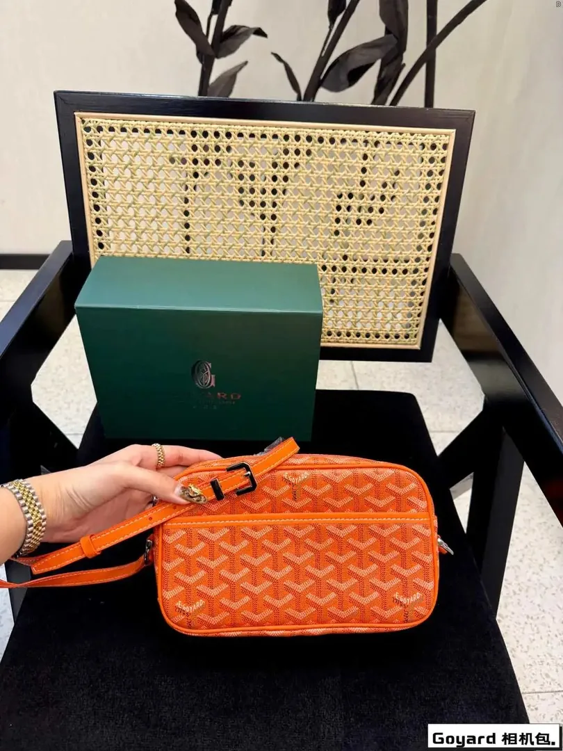 Goyard Cap-Vert Camera Bag — photo 9