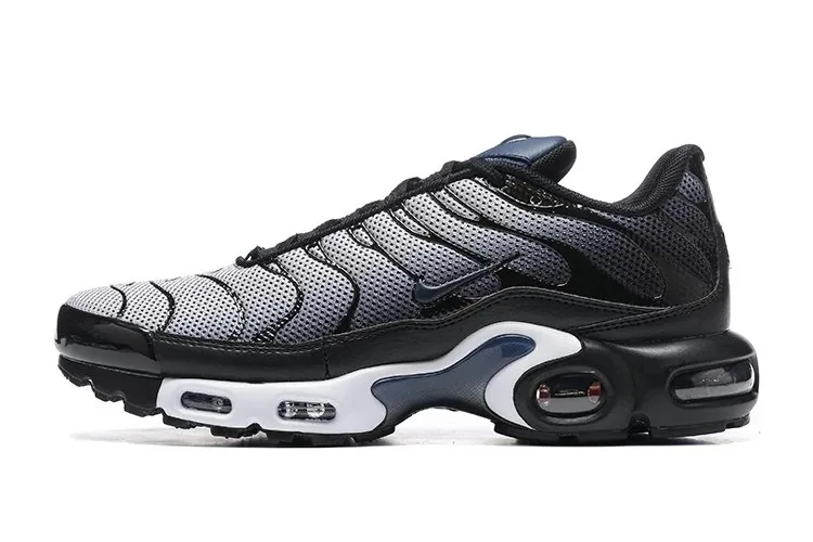 Nike Air Max Plus TN — QC