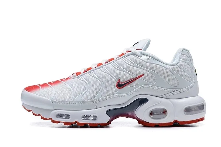 Multicolor Nike Air Max Plus TN — QC