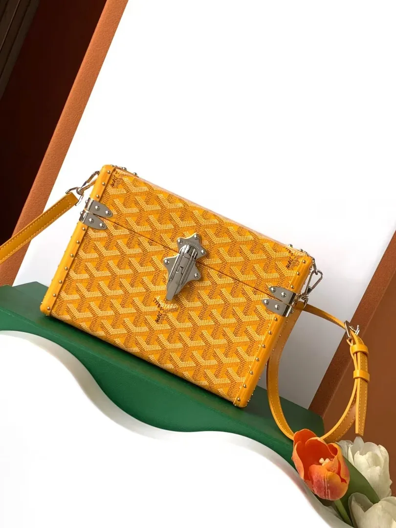 Goyard Small Trunk Bag — photo 9