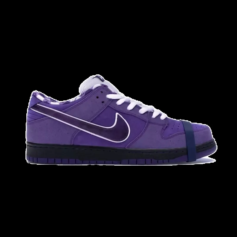 Nike Dunk Low Lace-Up Running Shoes — QC